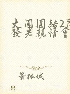 大团圆结2闪闪发光亲情会