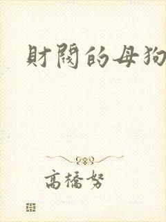 财阀的母狗们