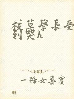 校草学长受被做到哭h