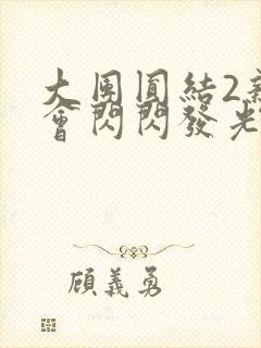 大团圆结2亲情会闪闪发光亲情会2