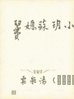 儿媳苏玥小说免费