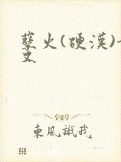 孽火(硬汉)今又