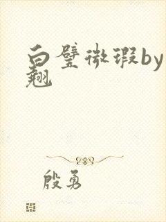 白璧微瑕by连翘