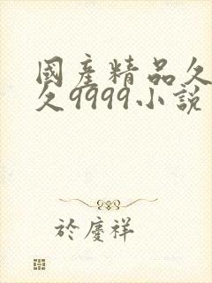 国产精品久久久久9999小说