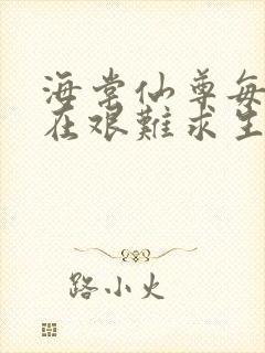 海棠仙尊每天都在艰难求生