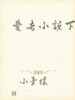 爱去小说下载网