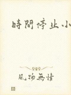时间停止小说