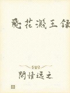 飞花溅玉录