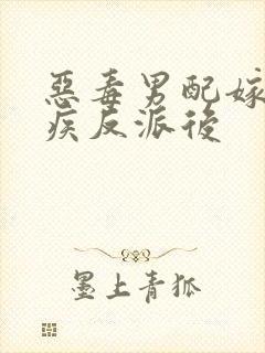 恶毒男配嫁给残疾反派后