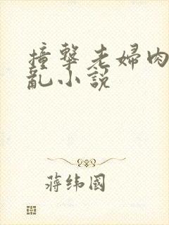 撞击老妇肉体之乱小说