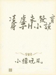 凌虐未发育的小身子H小说