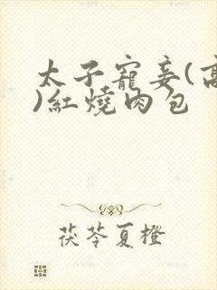 太子宠妾(高肉)红烧肉包