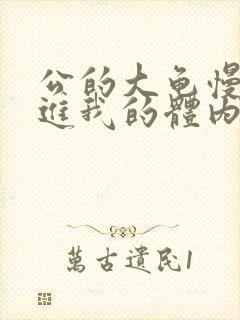 公的大龟慢慢挺进我的体内视频