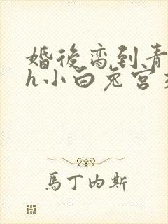 婚后脔到青梅哭h小白兔宫交h