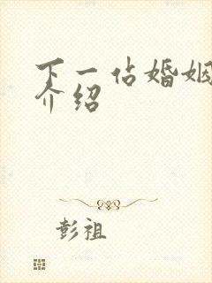 下一站婚姻剧情介绍