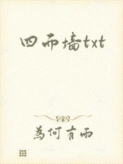 四面墙txt