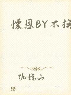怀恩BY不换