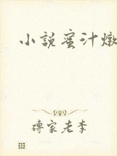 小说蜜汁炖鱿鱼封面