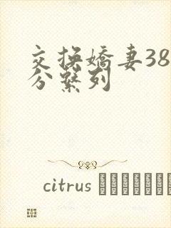 交换娇妻38部分系列