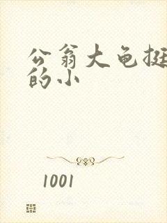 公翁大龟挺进我的小