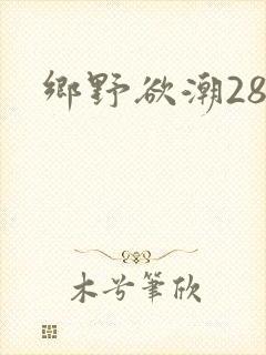 乡野欲潮28章