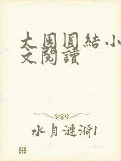 大团圆结小茹全文阅读