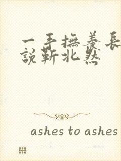 一手抚养长大小说靳北然