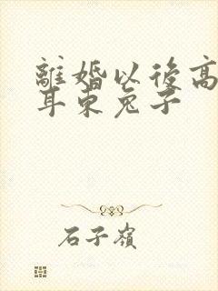 离婚以后高干 耳东兔子