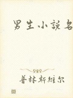 男生小说名字