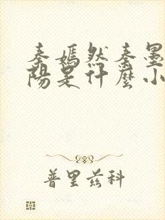 秦嫣然秦墨浓林阳是什么小说