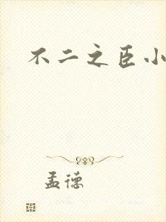 不二之臣小说