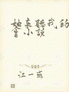 她来听我的演唱会小说