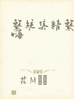 系统集精系统高嗨