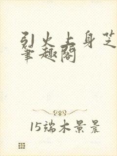 引火上身芝麻糖笔趣阁