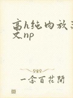 高h纯肉放荡h文np