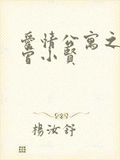 爱情公寓之极品曾小贤