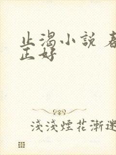 止渴小说 春光正好