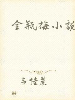 金瓶梅小说下载