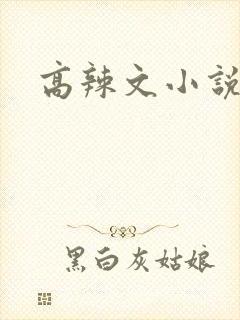 高辣文小说