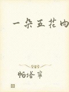 一朵五花肉