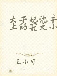 太子妃沈音和皇上的宠文小说