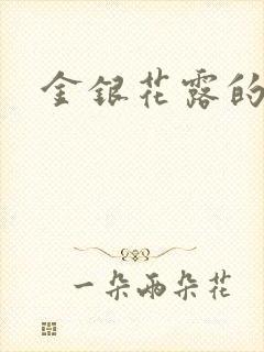 金银花露的小说