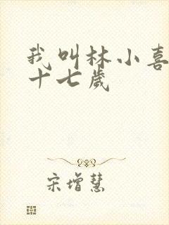 我叫林小喜今年十七岁