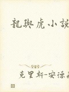 龙与虎小说