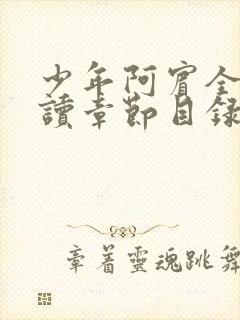 少年阿宾全文阅读章节目录