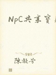 NpC共享宝贝