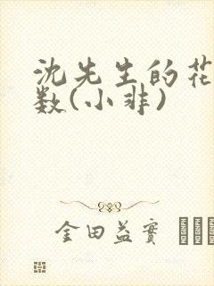 沈先生的花式调数(小非)