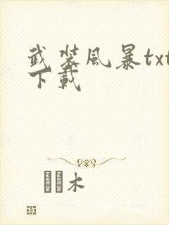 武装风暴txt下载