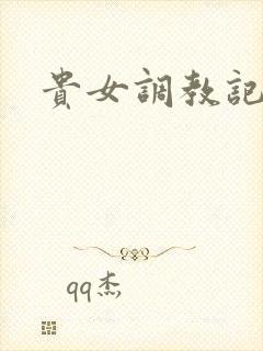 贵女调教记