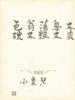 色翁荡息又大又硬又粗又爽